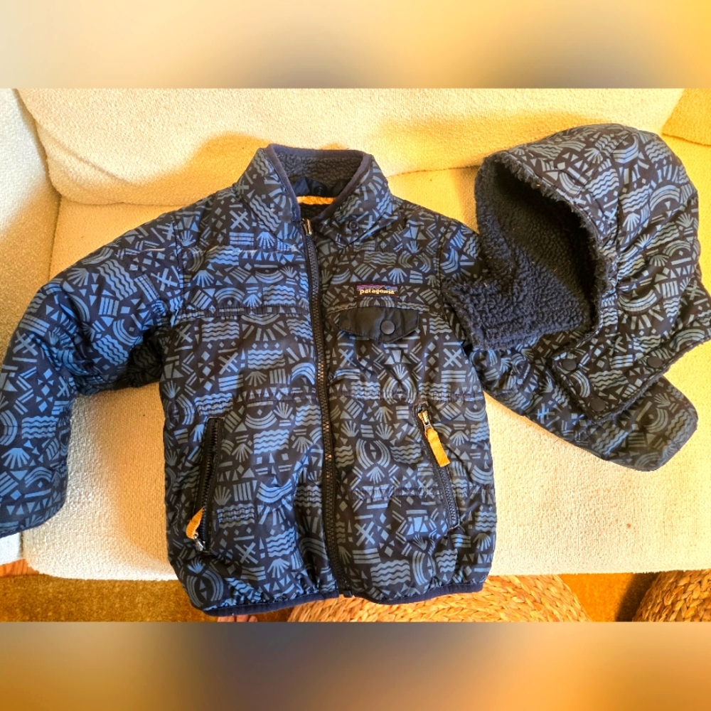 Patagonia Recersible Blue Patterned Parka